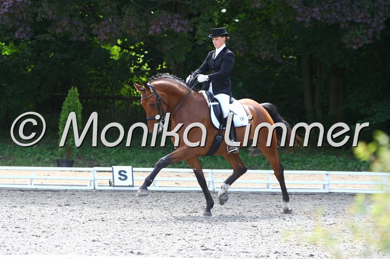 009M4886_Wunderkind_Dressur Mxx.JPG